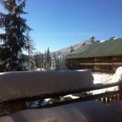Laurie Leach Allred's photo
