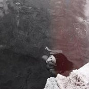 ΜΑΡΙΑ ΛΟΥΙΖΑ ΚΑΛΟΓΕΡΑΚΟΥs foto