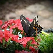 Karen Beth's photo