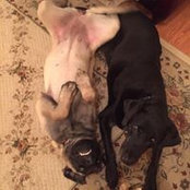 Kate Lane's photo