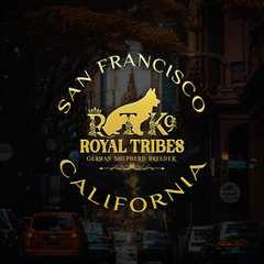 Royal Tribes K9 - RTK9 Team - San Francisco