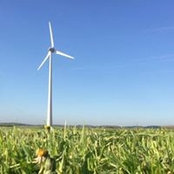 Simon Ségard's photo