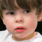 Steve Ryan's photo