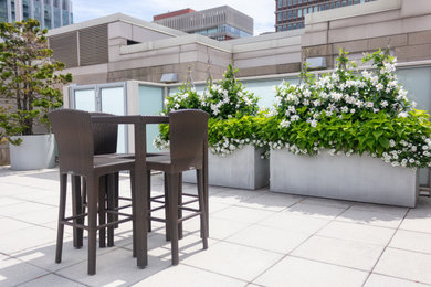 Deck photo in Boston