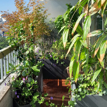 Aménagement nature d'un balcon Paris 11