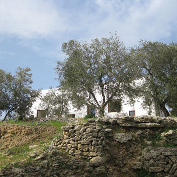 House for Holidays