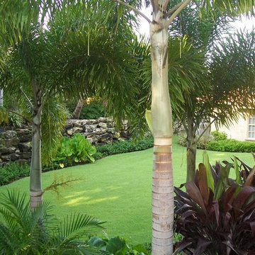 Florida Residential Landscape