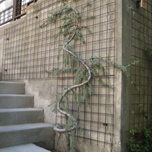 Exterior Ideas