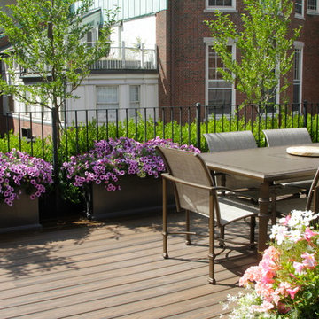 Beacon Hill Roof Terrace