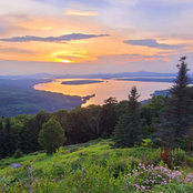 Melissa Calhoun's photo
