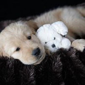 Charlette Gabriel's photo