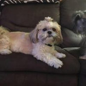 Donna Masino's photo