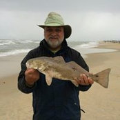 Foto von Lester Bradshaw