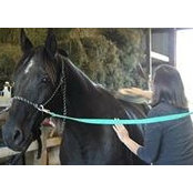 Andrea Demel's photo