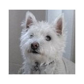 Frances Gair's photo