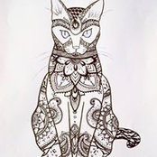 Ashley Key's photo