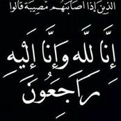 Dina Mostafa's photo