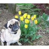 Michelle Cavuoto's photo