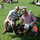 michael_zeno