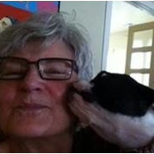 Foto von Nancy Barrett
