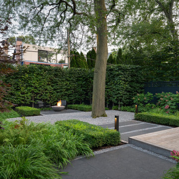 Contemporary Garden