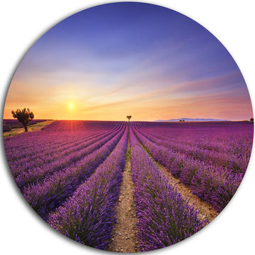 Lavender Field In Provence France, Landscape Disc Metal Artwork, 11"