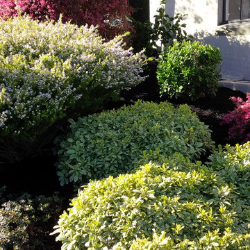Deer Resistant Gardens