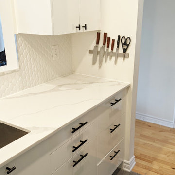 Functional Galley kitchen in Anjou, Montreal