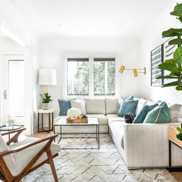Contemporary Living Room