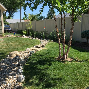 New "Island" and dry stream bed