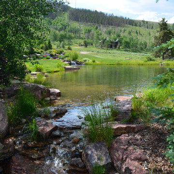 Design - Build Mountain Ranch Landscape in Summit County, CO