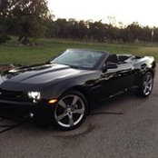 Greg Clanton's photo