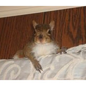 Mandy Vitek's photo