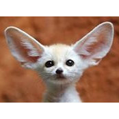 Stacey Lazenby's photo