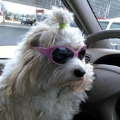 Robin Buser's photo