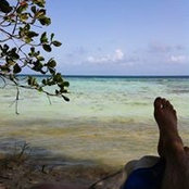 Dan Rush's photo