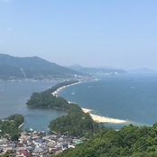 K M's photo