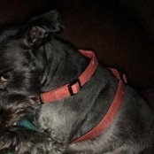 Steve Hargrove's photo