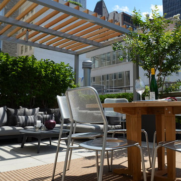 Financial District Penthouse