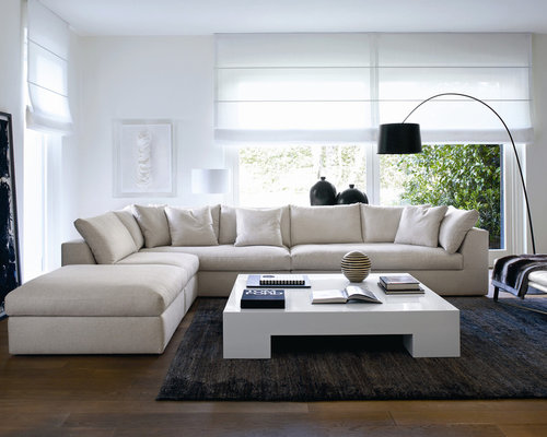 Houzz | Modern Living Room Design Ideas & Remodel Pictures