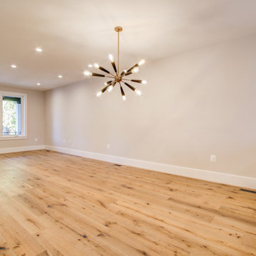 Basement remodel with bedroom space, closet space, living area, DC
