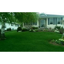 Exterior Ideas
