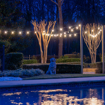 String Lights - Charlotte, NC