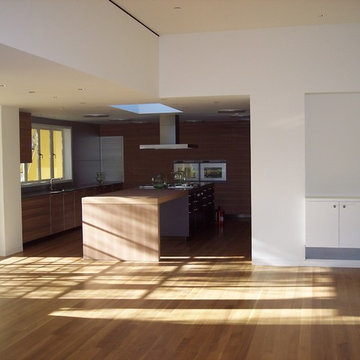 Contemporary Kitchen