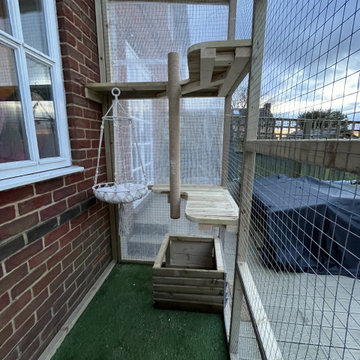 Catio build