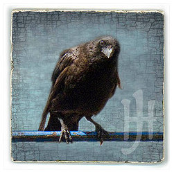 June Hunter Tiles + Wood Panels - Artwork