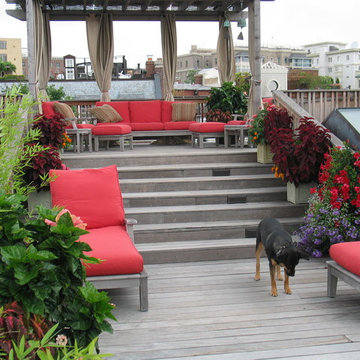 Rooftop Garden - Private Residence
