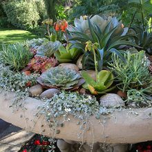 Bird Bath Planter