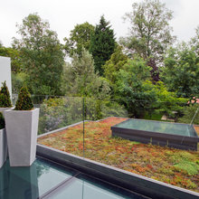 Laneway green Roof
