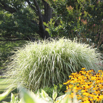 Garden Views in Montclair